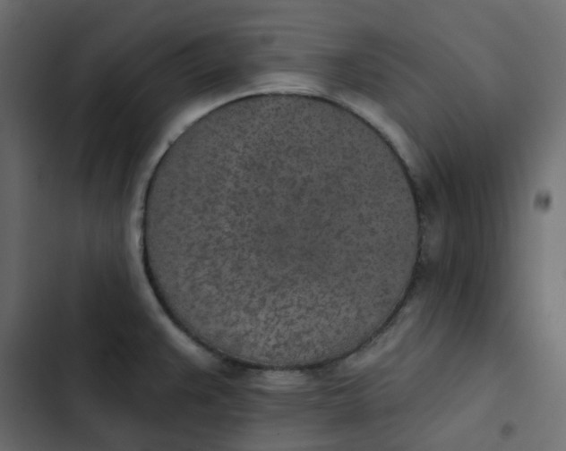 X0000102851383200809021350