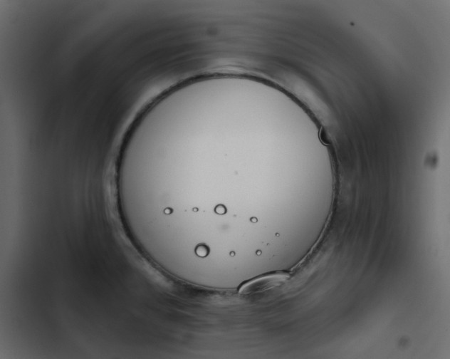 X0000102851384200809021350