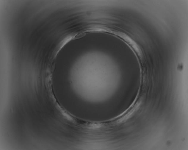 X0000102851385200809021350