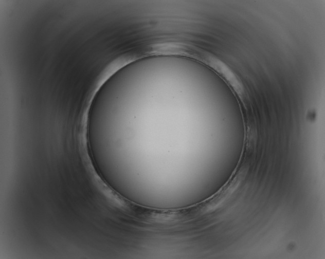 X0000102851386200809021350