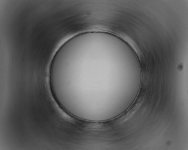 X0000102851387200809021350