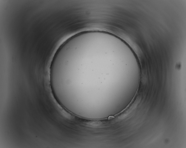 X0000102851388200809021350