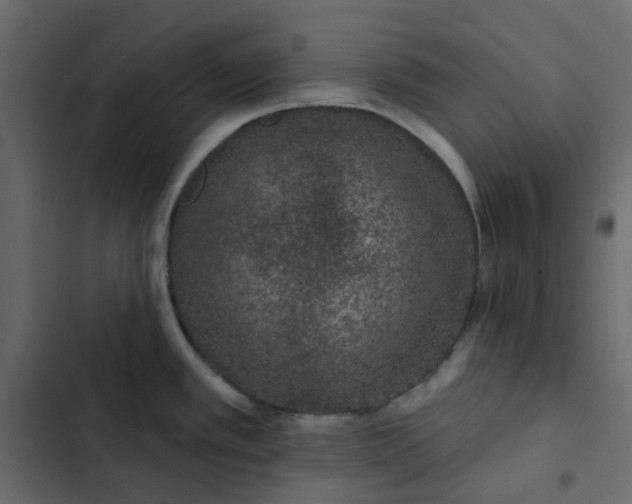 X0000102851389200809021350