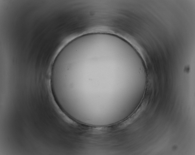 X0000102851390200809021350