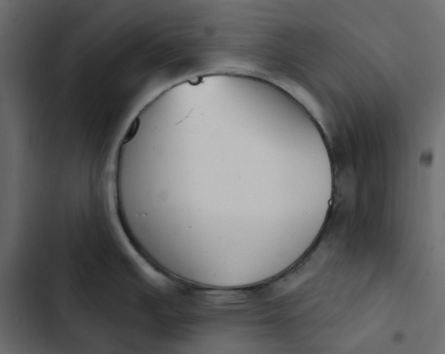 X0000102851391200809021350