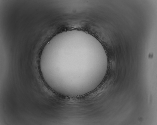 X0000102851393200809021350