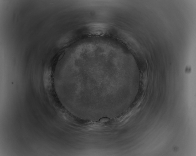 X0000102851394200809021350