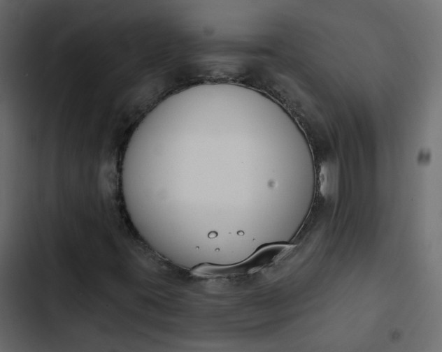 X0000102851395200809021350