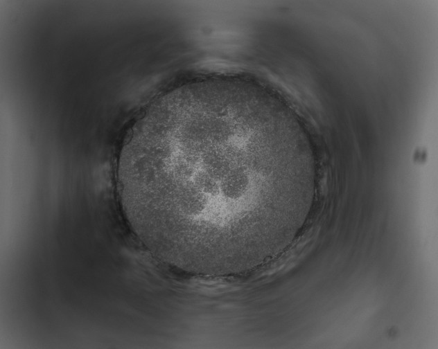 X0000102851397200809021350