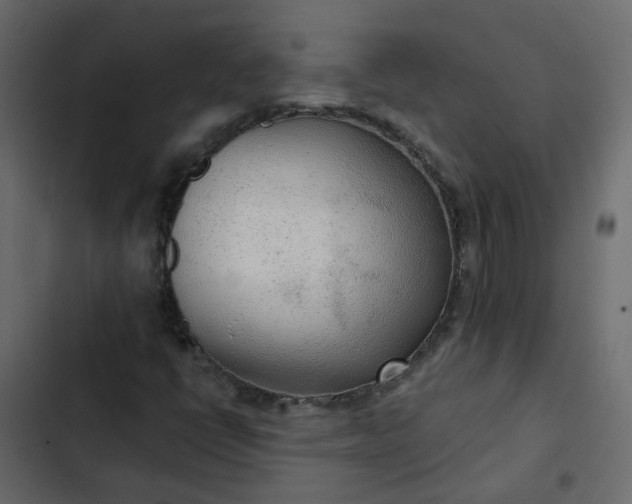 X0000102851398200809021350