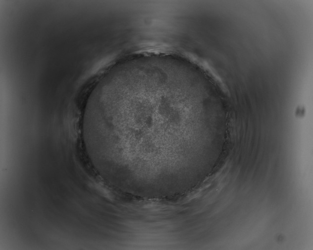 X0000102851399200809021350