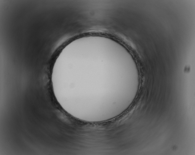 X0000102851400200809021350