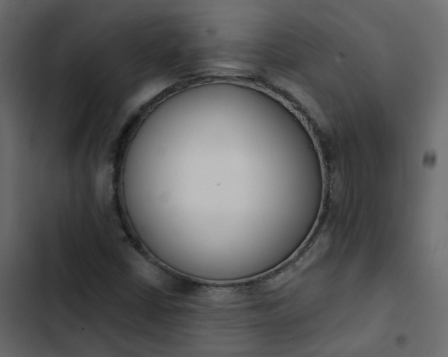 X0000102851402200809021350