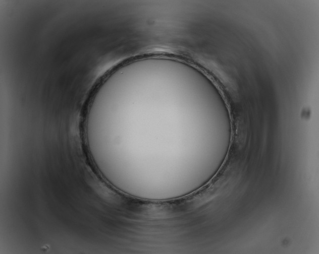 X0000102851404200809021350