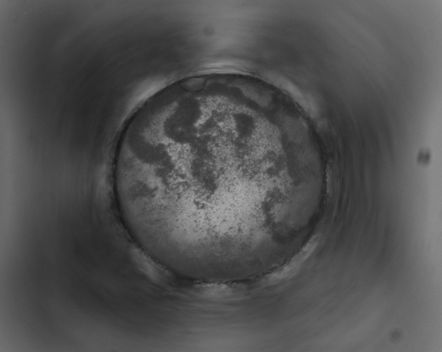 X0000102851405200809021350