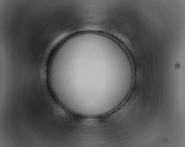 X0000102851406200809021350