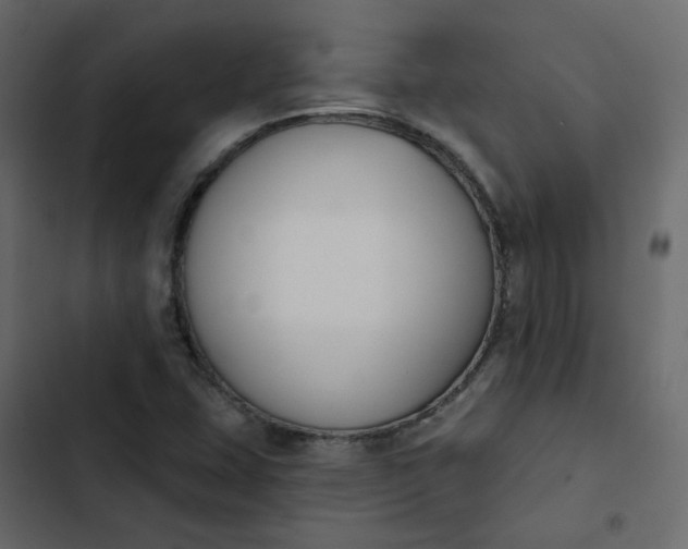 X0000102851407200809021350