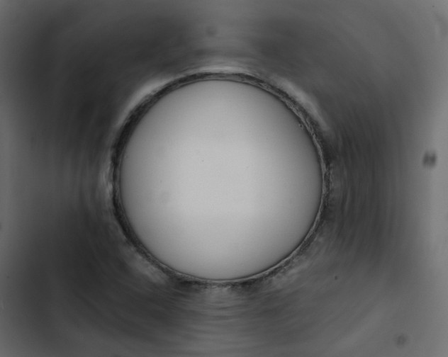 X0000102851408200809021350