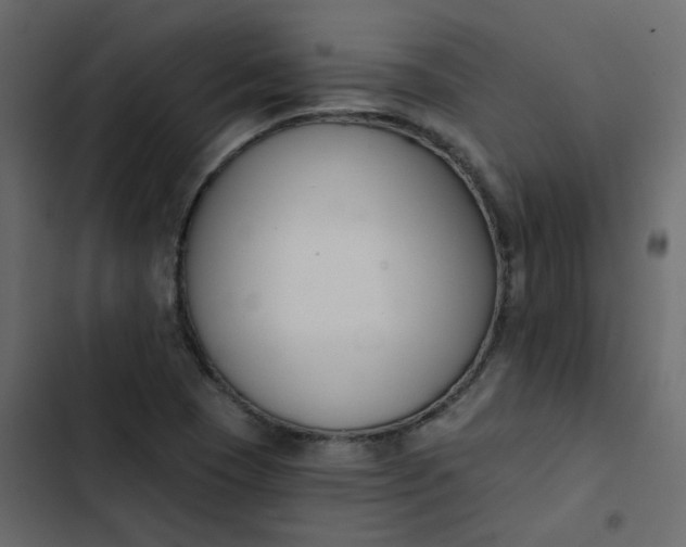 X0000102851409200809021350