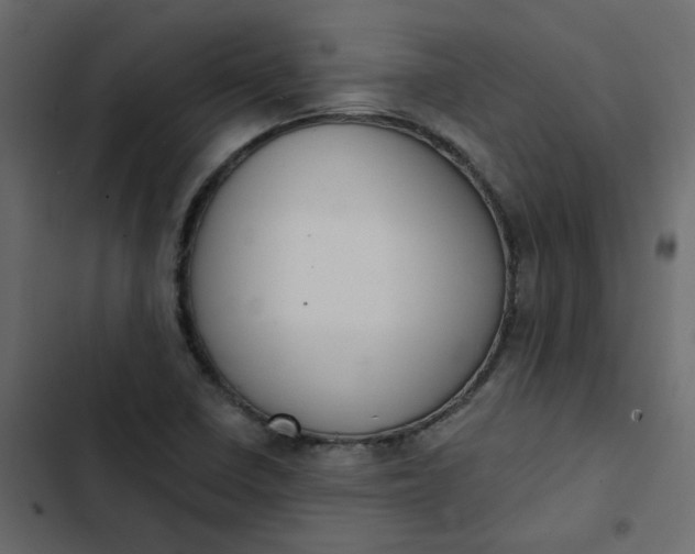 X0000102851410200809021350