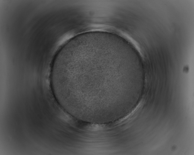 X0000102851411200809021350