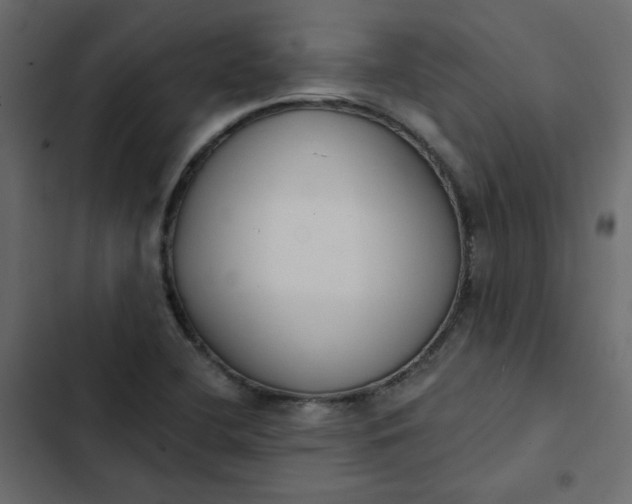 X0000102851412200809021350