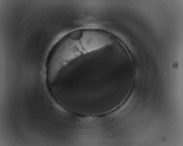 X0000102851414200809021350