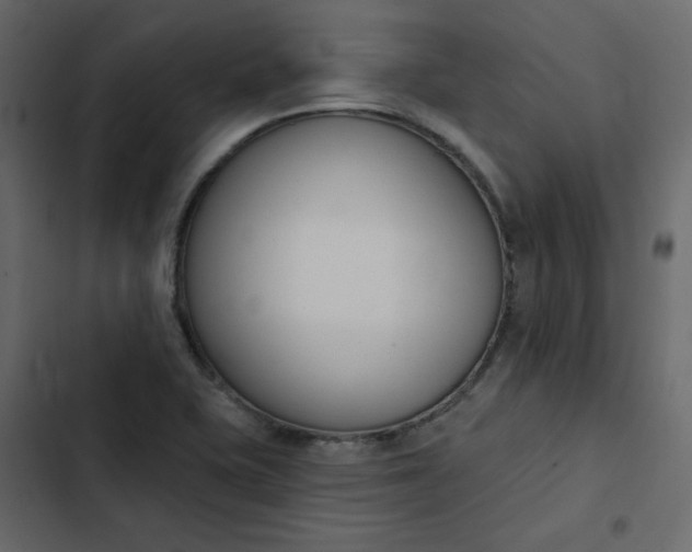 X0000102851415200809021350