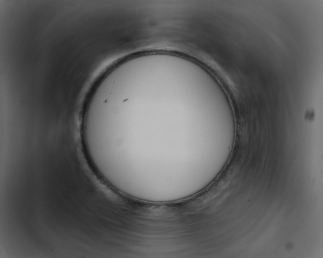 X0000102851416200809021350