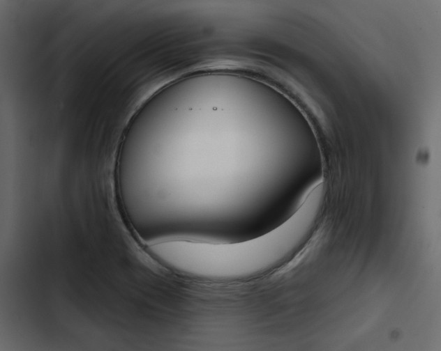 X0000102851417200809021350