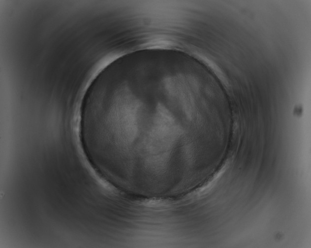 X0000102851418200809021350