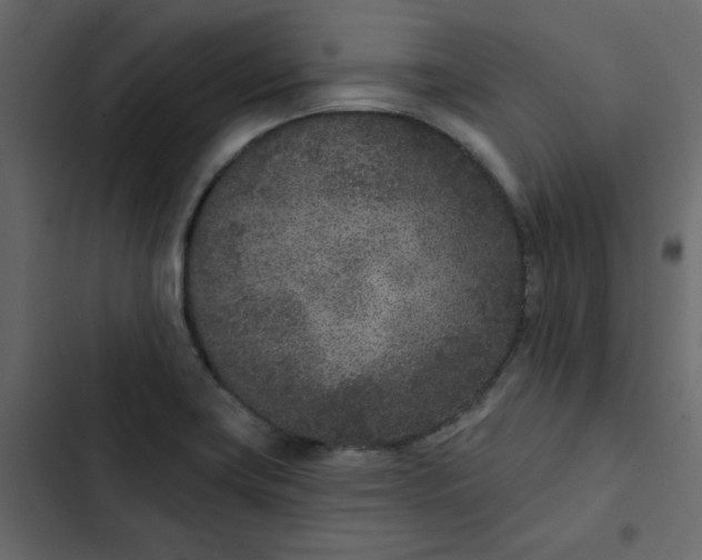 X0000102851419200809021350