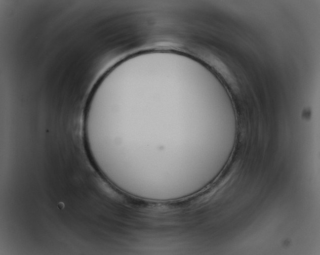 X0000102851420200809021350