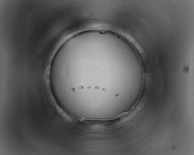 X0000102851421200809021350