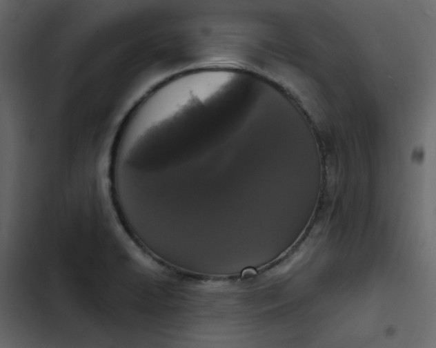 X0000102851422200809021350