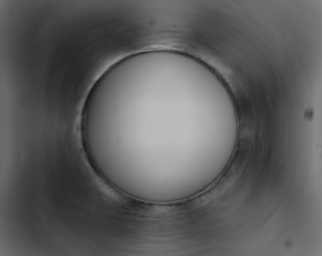 X0000102851423200809021350