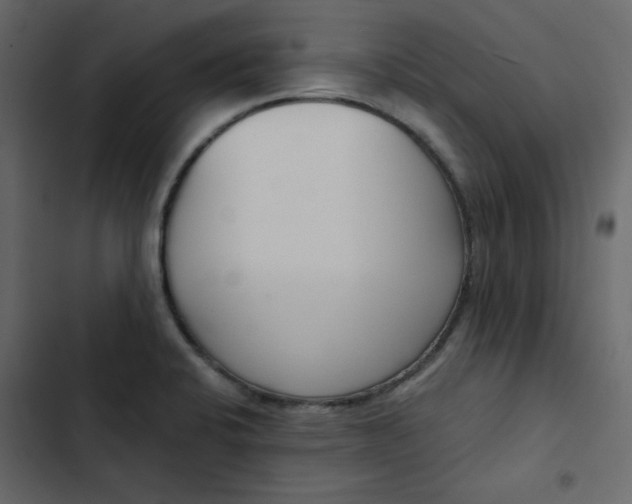 X0000102851424200809021350