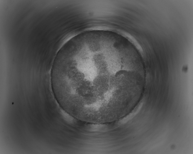 X0000102851425200809021350