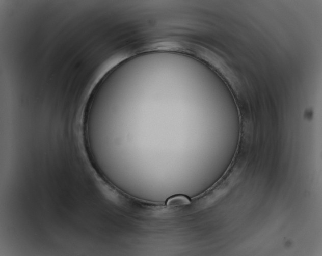 X0000102851426200809021350