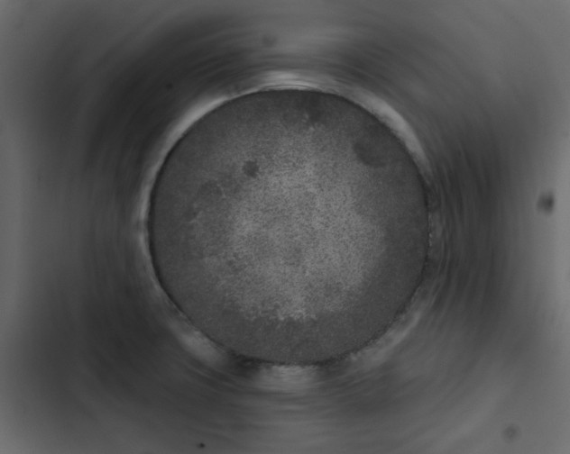 X0000102851427200809021350