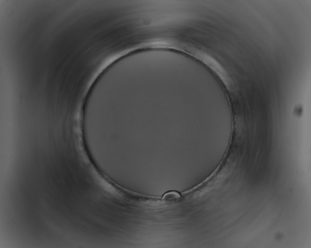 X0000102851428200809021350