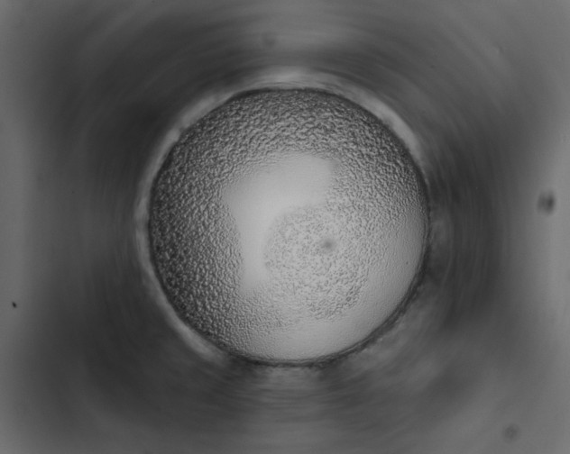 X0000102851429200809021350