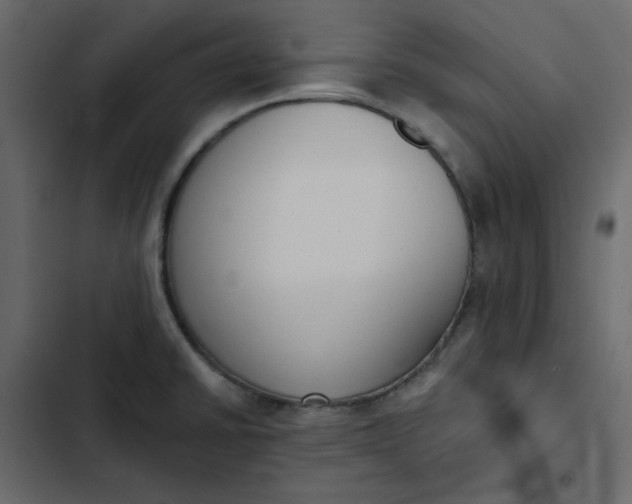 X0000102851430200809021350