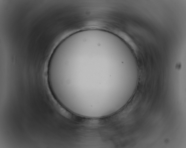 X0000102851431200809021350