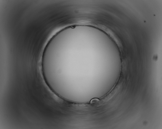 X0000102851432200809021350