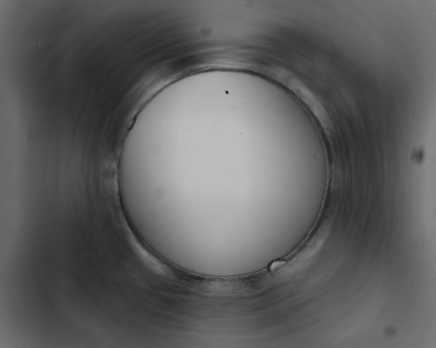 X0000102851433200809021350