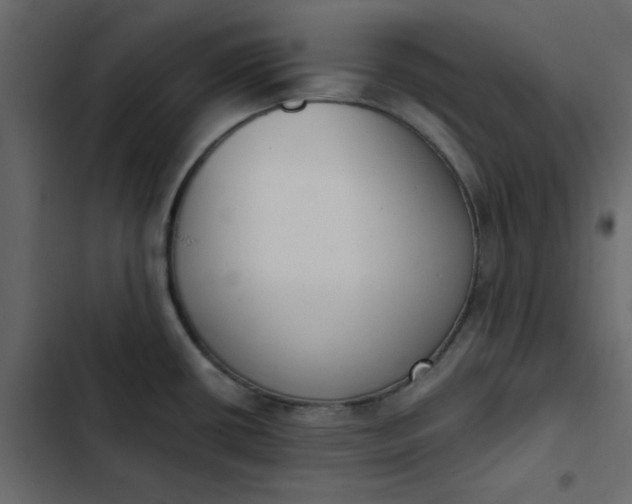 X0000102851434200809021350