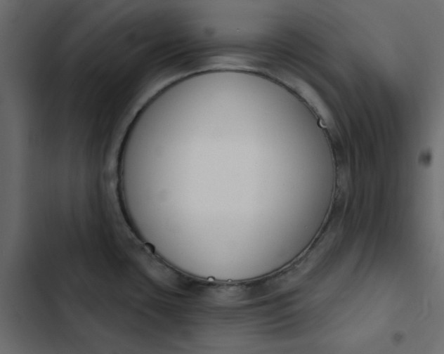 X0000102851435200809021350