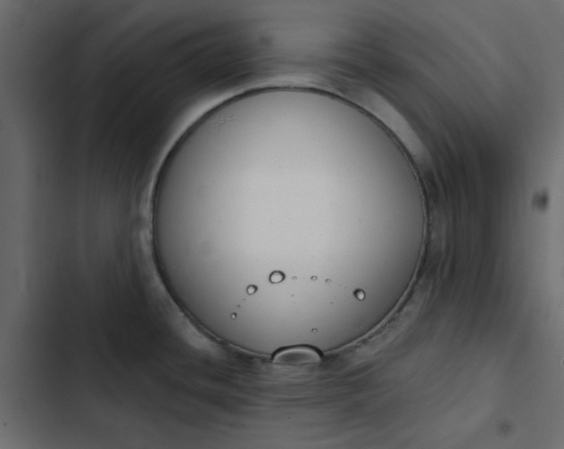 X0000102851436200809021350