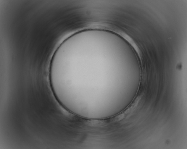 X0000102851437200809021350